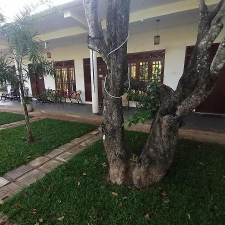 Sigiriya Green Garden Homestay Zewnętrze zdjęcie