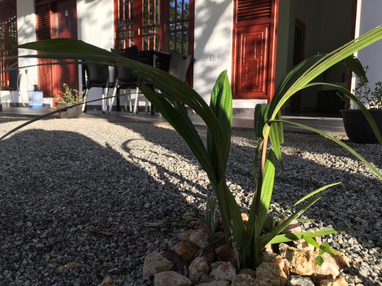 Sigiriya Green Garden Homestay Zewnętrze zdjęcie
