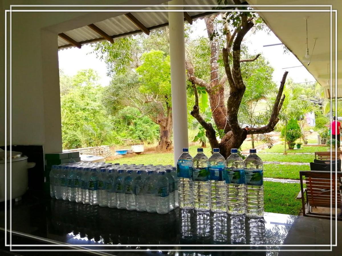 Sigiriya Green Garden Homestay Zewnętrze zdjęcie