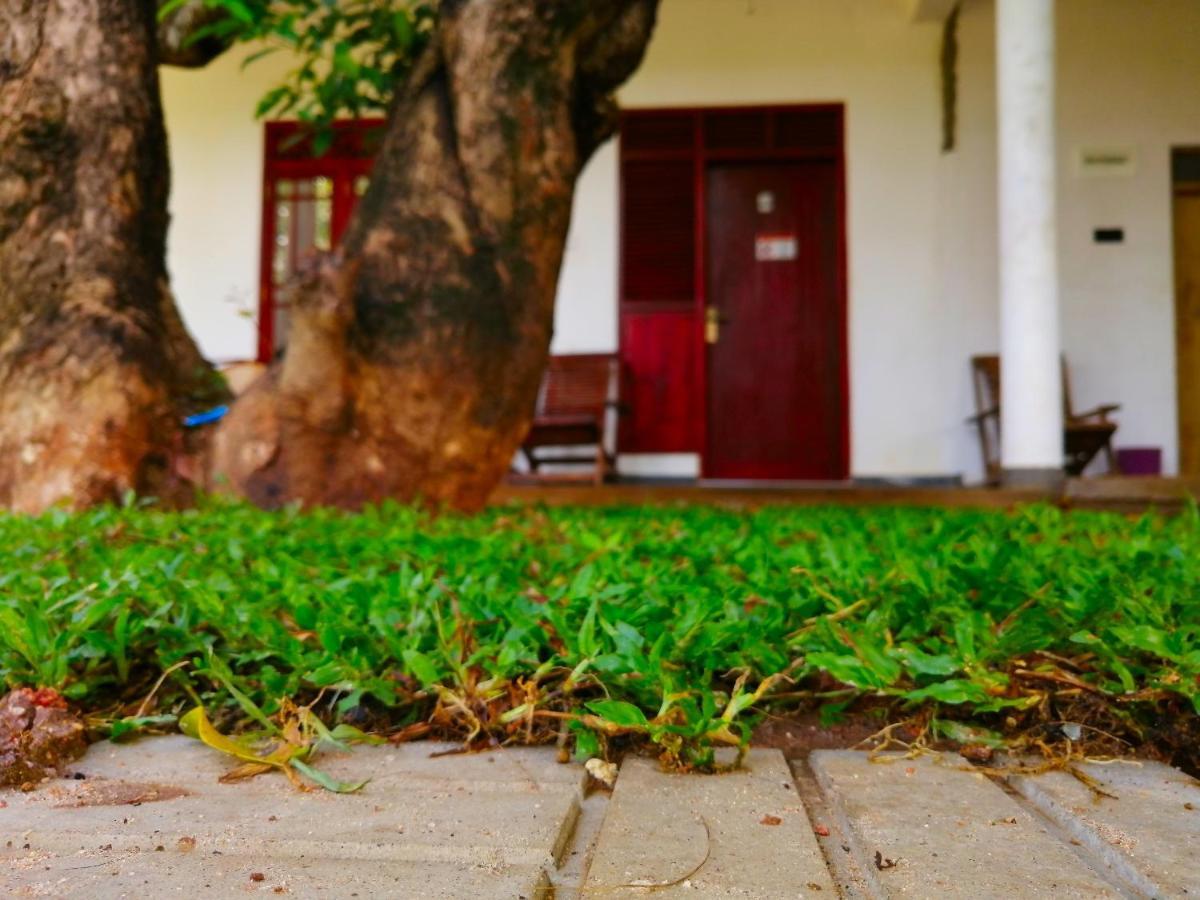 Sigiriya Green Garden Homestay Zewnętrze zdjęcie