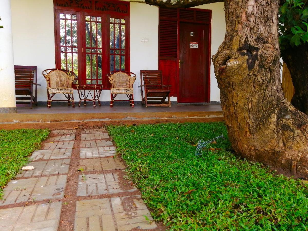 Sigiriya Green Garden Homestay Zewnętrze zdjęcie