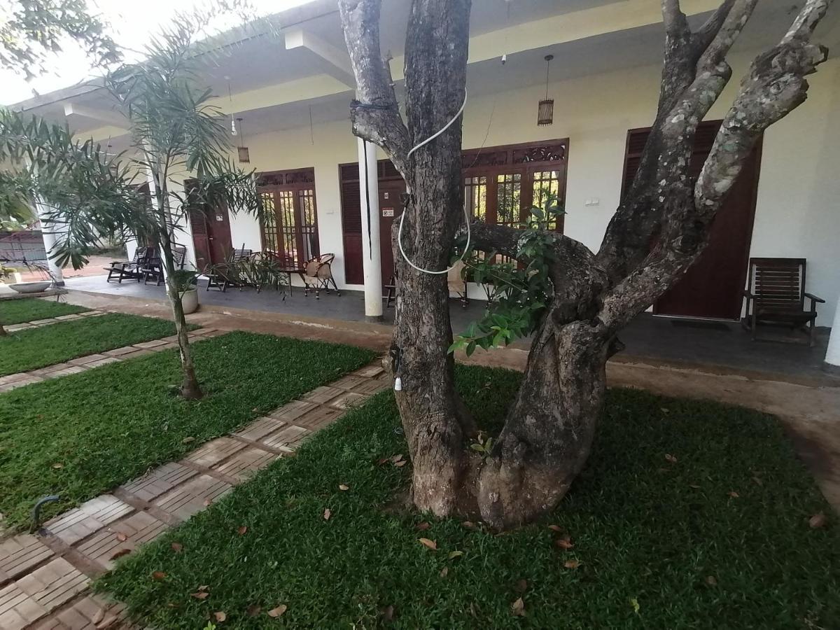 Sigiriya Green Garden Homestay Zewnętrze zdjęcie
